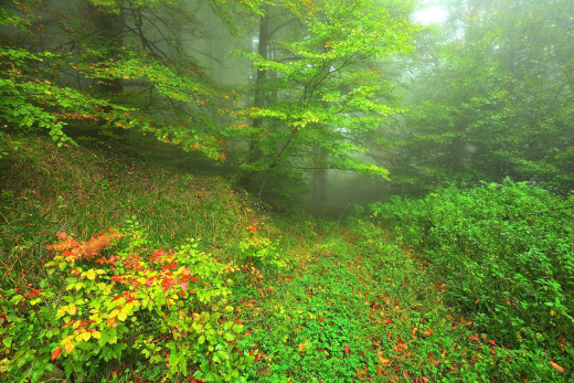 1266355 (a): :1920x1281